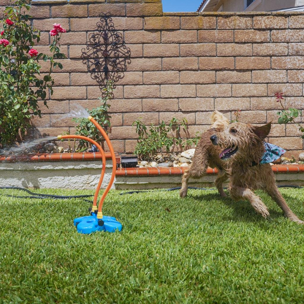 The Wave The Ultimate Interactive Water Toy for Dogs - Image 2
