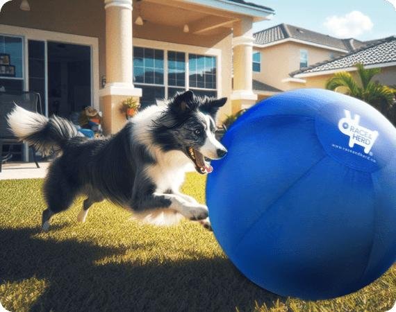 The Original Herding Ball | Chew-Resistant, For Active Dogs, Blue / 18in - Image 2