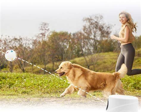 Wefeedy Automatic Ball Launcher Dog Toy - Image 2