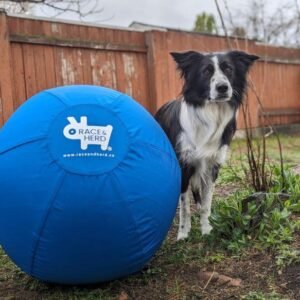 The Original Herding Ball | Chew-Resistant, For Active Dogs, Blue / 18in