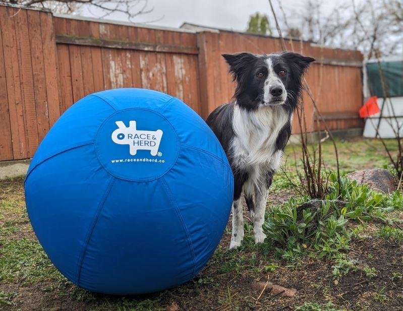 The Original Herding Ball | Chew-Resistant, For Active Dogs, Blue / 18in